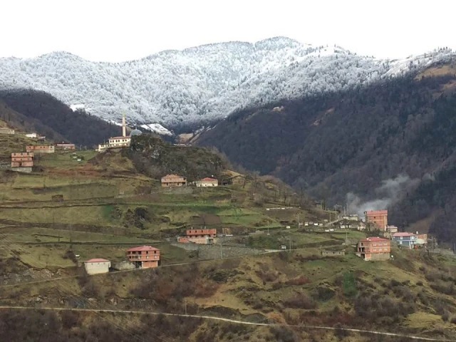 Araklı Sularbaşı Aşa Köyü