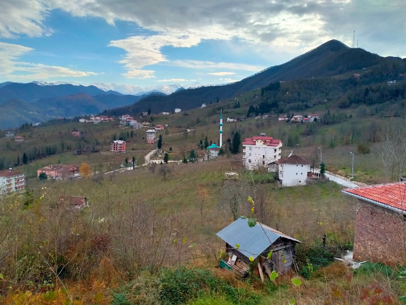 Araklı Ayvadere Aho Köyü