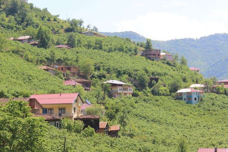 Araklı Turnalı Os Köyü