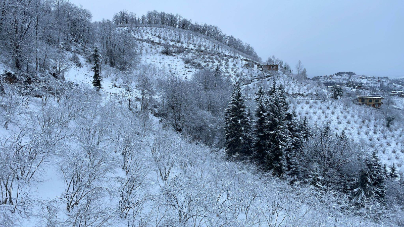 Araklı'da Kar Manzaraları