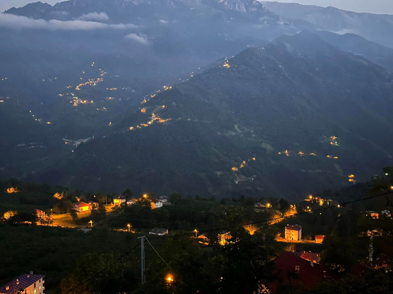 Araklı Kestanelik Cimla