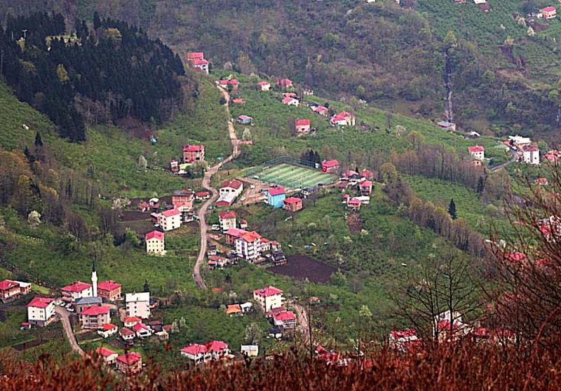 Trabzon'un İlçeleri
