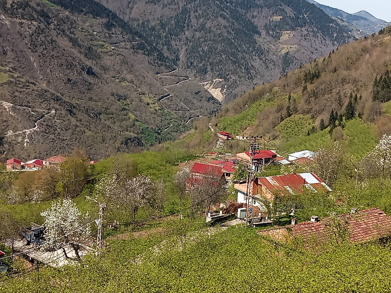 Araklı Köprüüstü Ayven Mahallesi