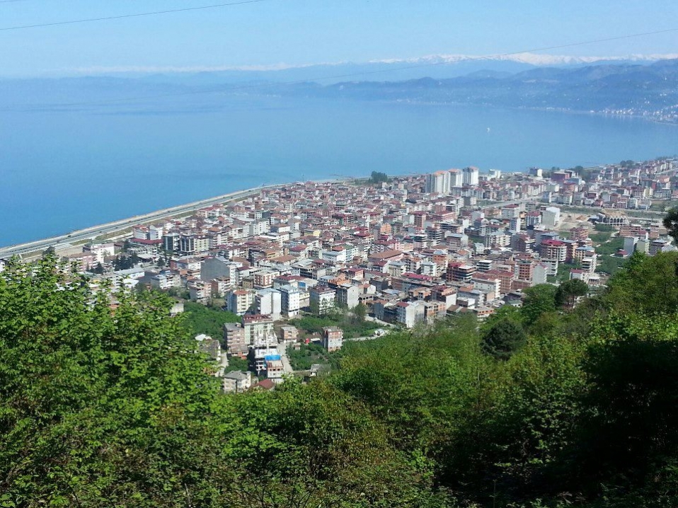Araklı Resimleri
