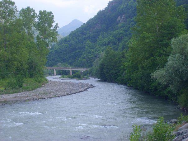 Araklı Resimleri