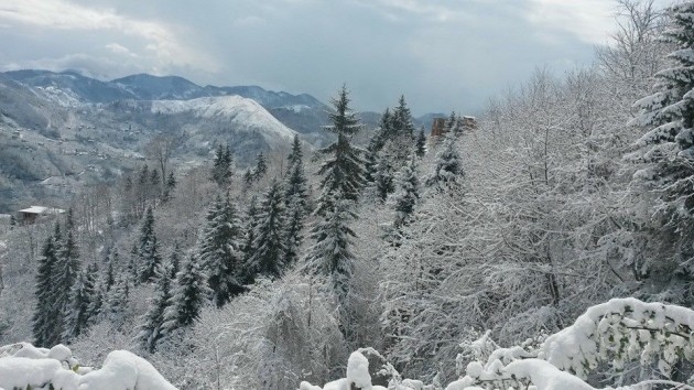 Araklı Nisan 2014