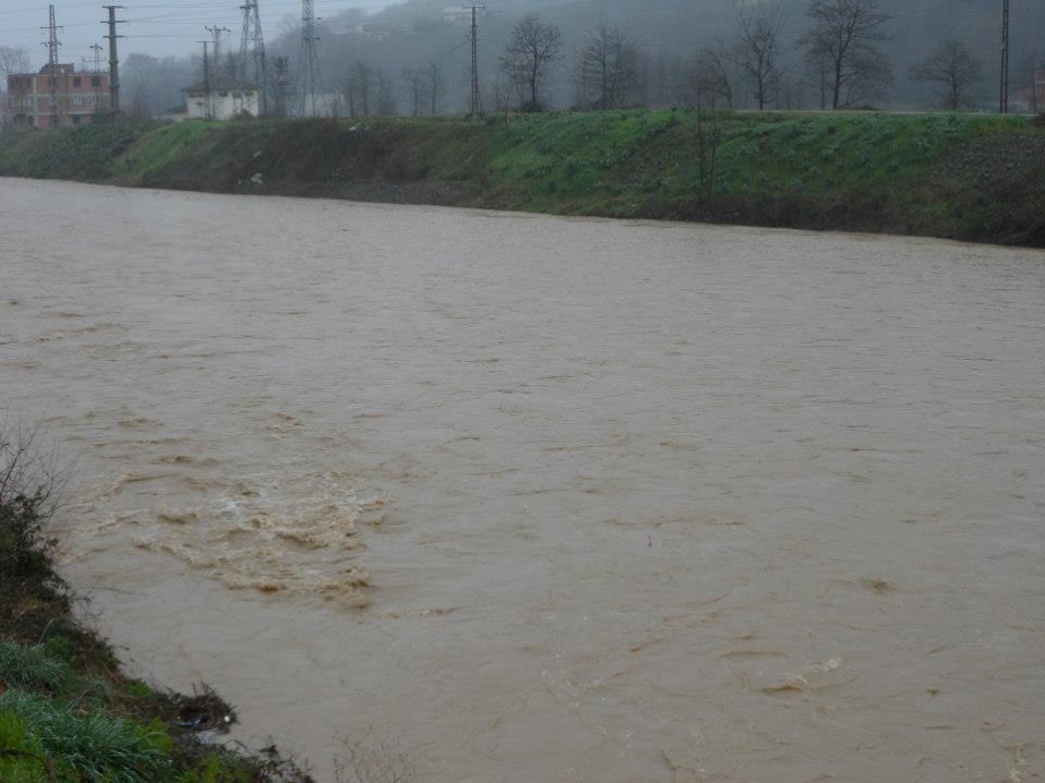 Köşe Buçak Araklı