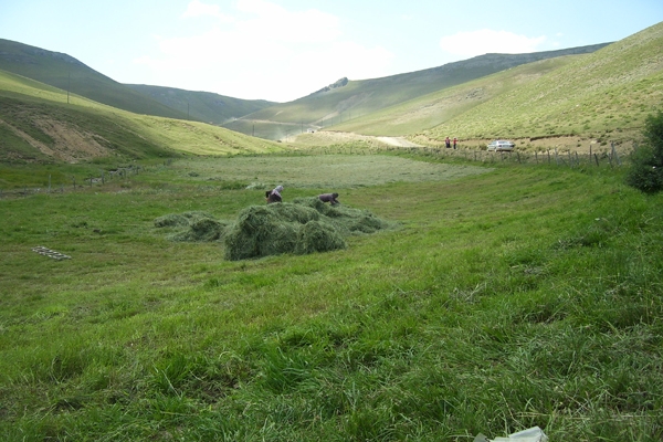 Araklı Eylül 2014