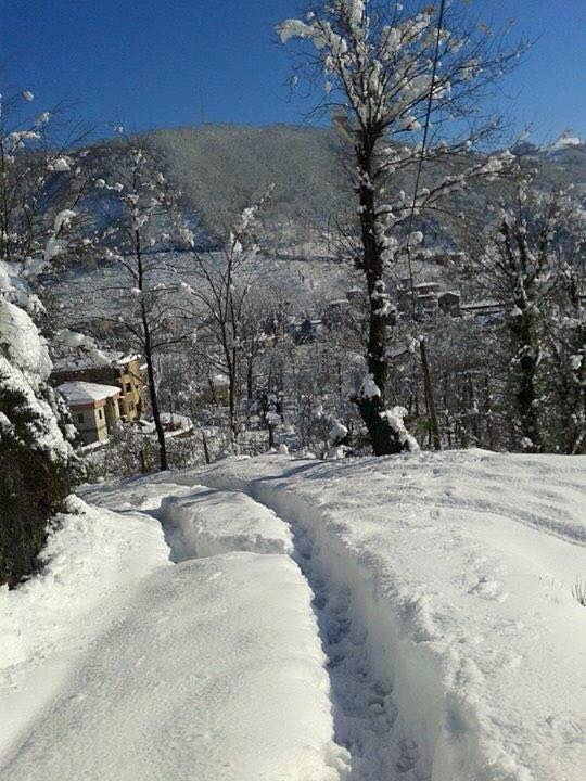 Araklı'da kar manzaraları