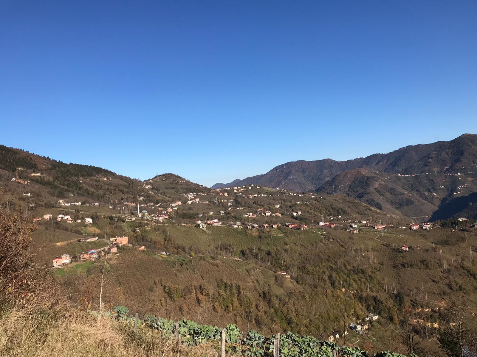 Araklı Kestanelik Cimla Mahallesi