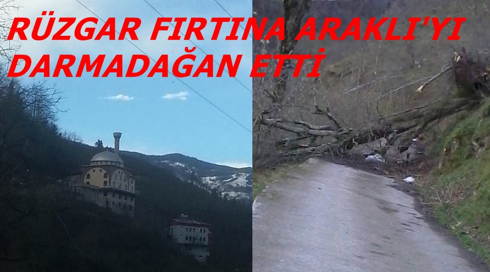 Rüzgar Fırtına Araklı’yı Yıkıp Geçti