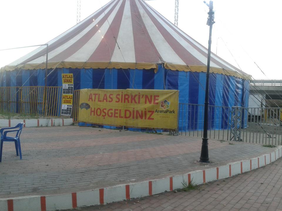 Atlas Sirki Araklı da