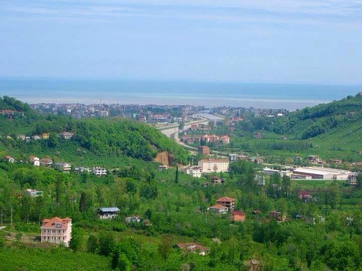 Araklı seçim Sonuçları