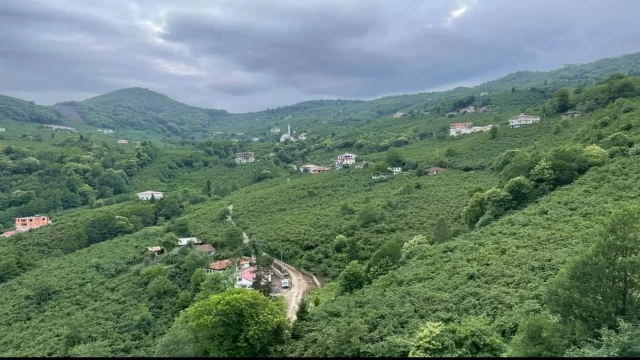 Araklı Birlik Mahallesinin acı günü