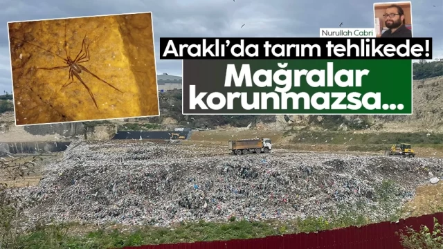 Araklı'da ilaçsız tarım için mağaralar Korunmalı