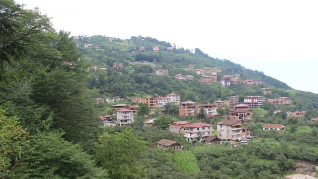 Araklı Yeşilköy Goga Köyü