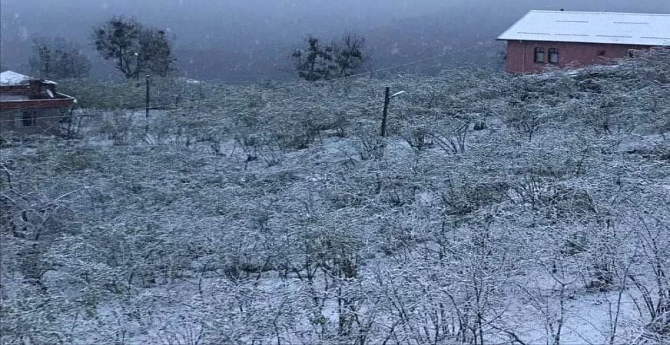 Araklı'da Karakış Geri Geldi Video Haber