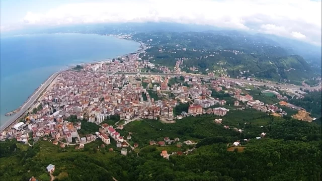 Trabzon Araklı'daki Resmi İnternet Sitelerin Kısa Bir Analizi