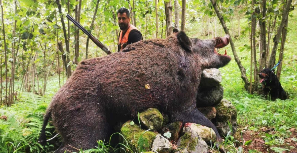 Araklı'da Av Sezonu Korkunç Görüntülerle Açıldı