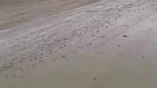 Araklı Çamlıca Mahallesinde Vatandaş Huzursuz