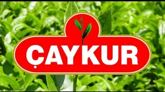 Çaykur Mevsimlik İşçi Alacak