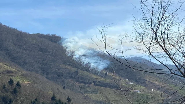 Son Dakika Araklı'da O Mahallede Yangın Başladı