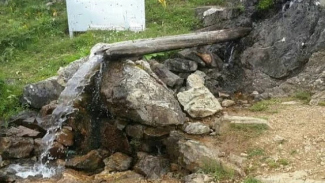 Araklı Civarında Hazreti Ali'ye Saygının Bir Örneği.