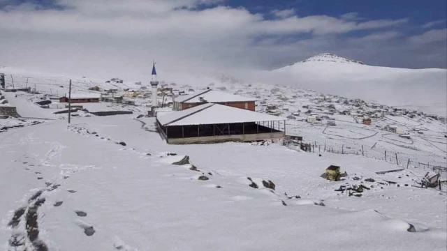 Araklı'da 5 Mayıs Günü Yaylaya Gidenler Şok Oldu