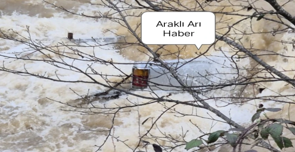 Araklı Karadere Yolunda Can pazarı