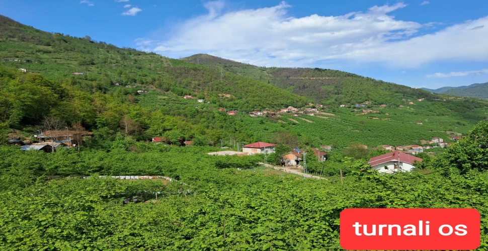 Araklı Turnalı Os Mahallesi