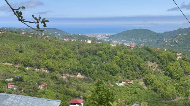 Araklı'yı Hiç Böyle Gördünüz'mü