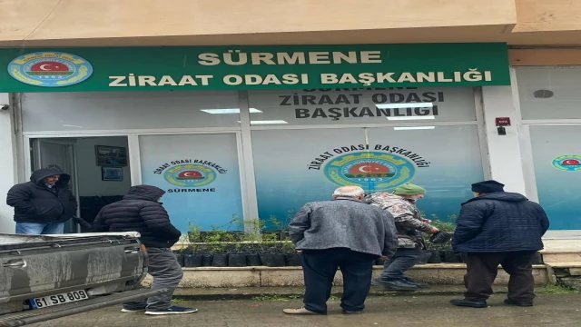 Sürmene'de Zıraat Odasından Örnek Proje Başladı! Araklı'da Neden Olmasın?