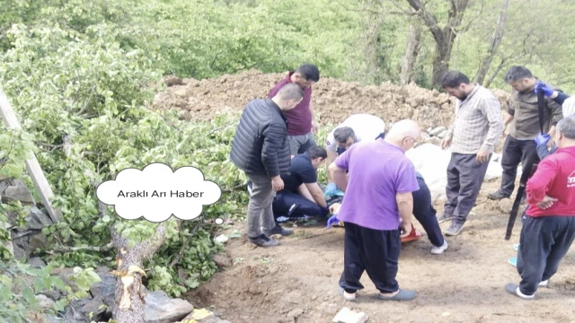 Son Dakika: Araklı'da Devrilen Ağaç 2 kişiyi Yaralayarak Hastanelik Etti