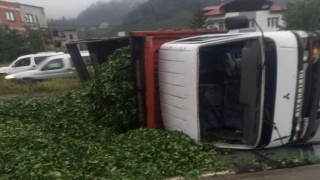 Araklı Karadere yolunda Çay Yüklü Kamyonet devrildi