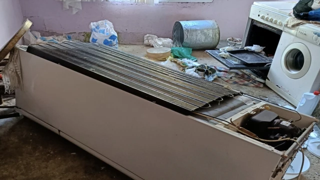 Araklı’da Ayı Korkusu: Evlerin Kapısını Kırıp İçeri Girdi