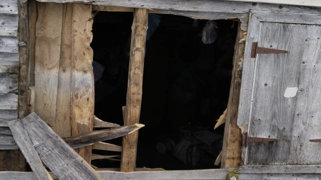 Ayılar Araklı Yaylalarını Mesken Tuttu