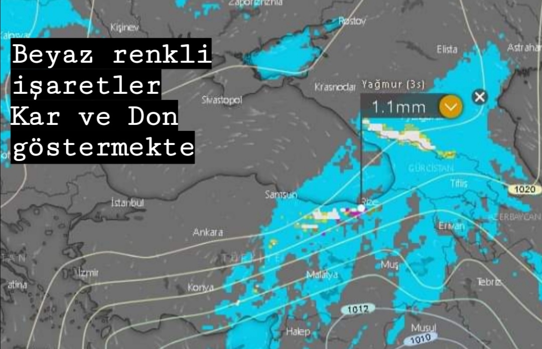 Yaylaya Gidecek olanlar Bu Tehlikeye Dikkat!