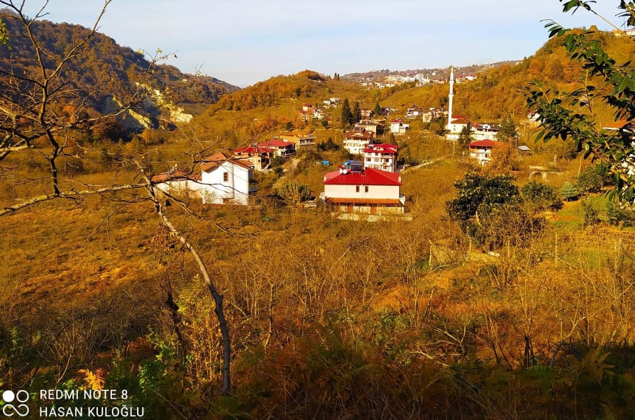 Araklı Ganzi Ortaköy Mahallesi