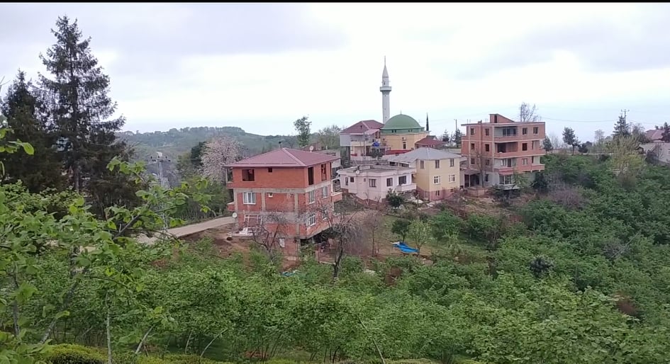 Araklı Zanayer Buzluca Mahallesi