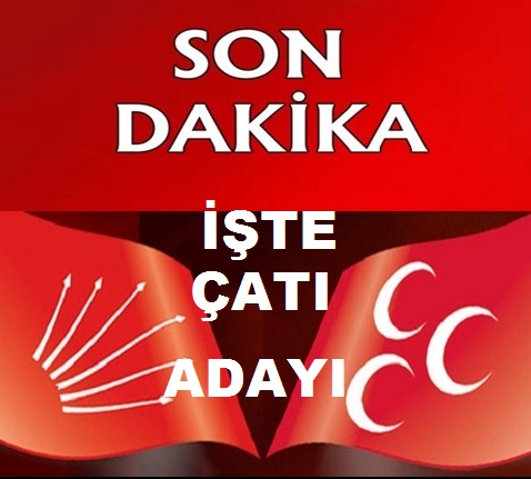 Muhalefetin &#8216;çatı&#8217; adayı Belli oldu!