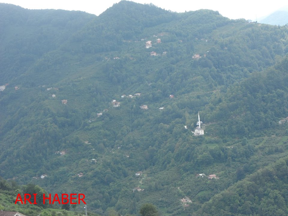 Araklı Merkezköy Mahallesi