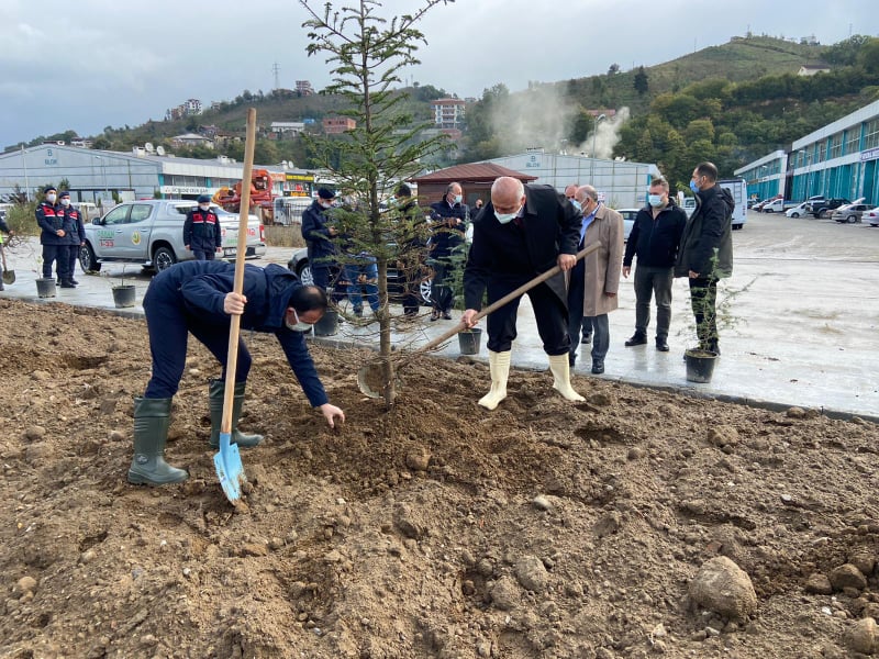 Araklı'da 1110 Fidan Toprakla Buluştu