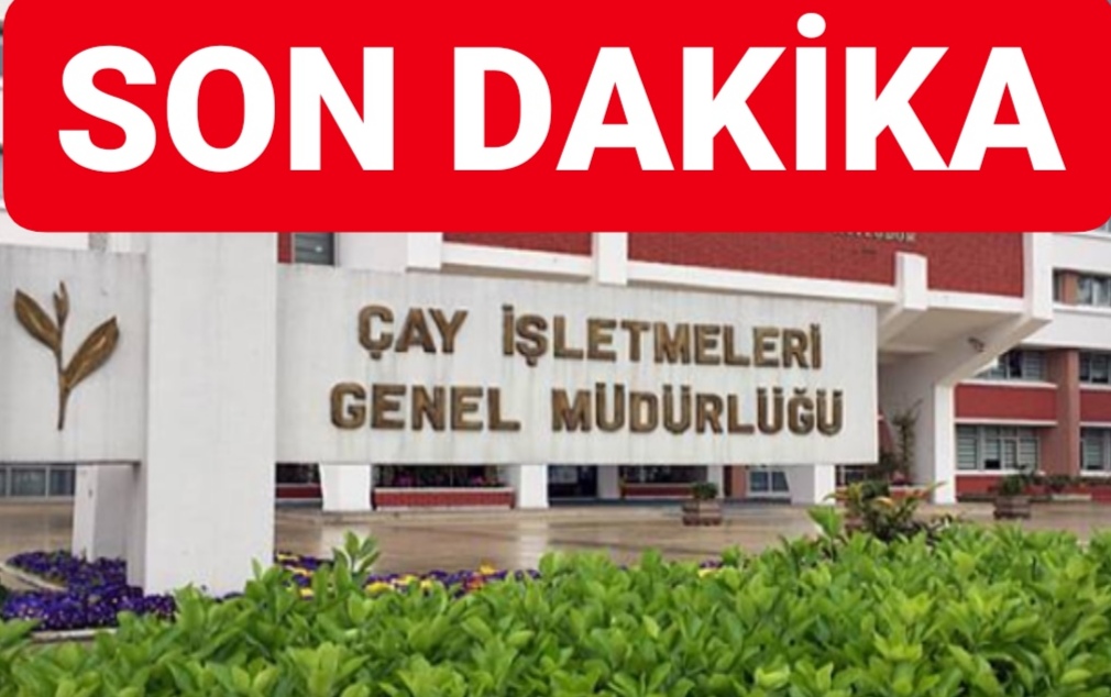 Çay üreticilerine Son DAKİKA uyarısı, yoksa çay satamayacaklar!