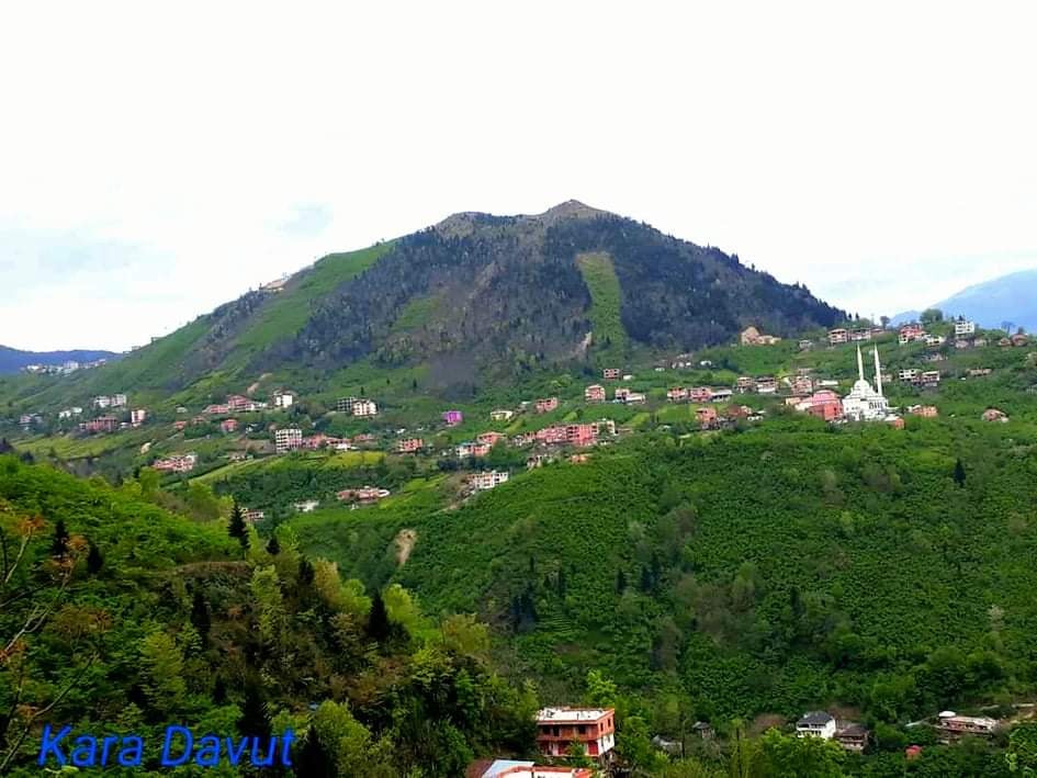 Araklı Burnak Taştepe Mahallesi