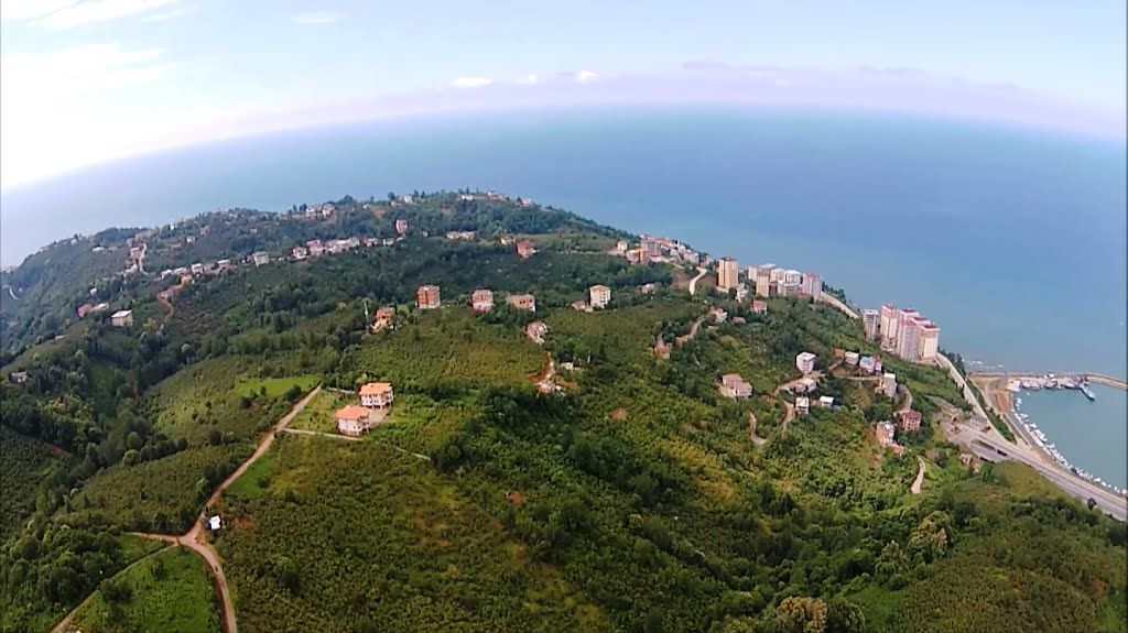 Araklı Hürriyet Mahallesi