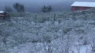 Araklı'da Karakış Geri Geldi Video Haber