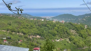 Araklı'yı Hiç Böyle Gördünüz'mü