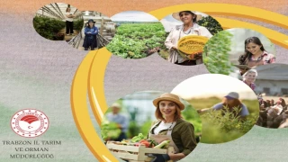 Araklı'da Bu Haber Kadın Çiftçiler İçin