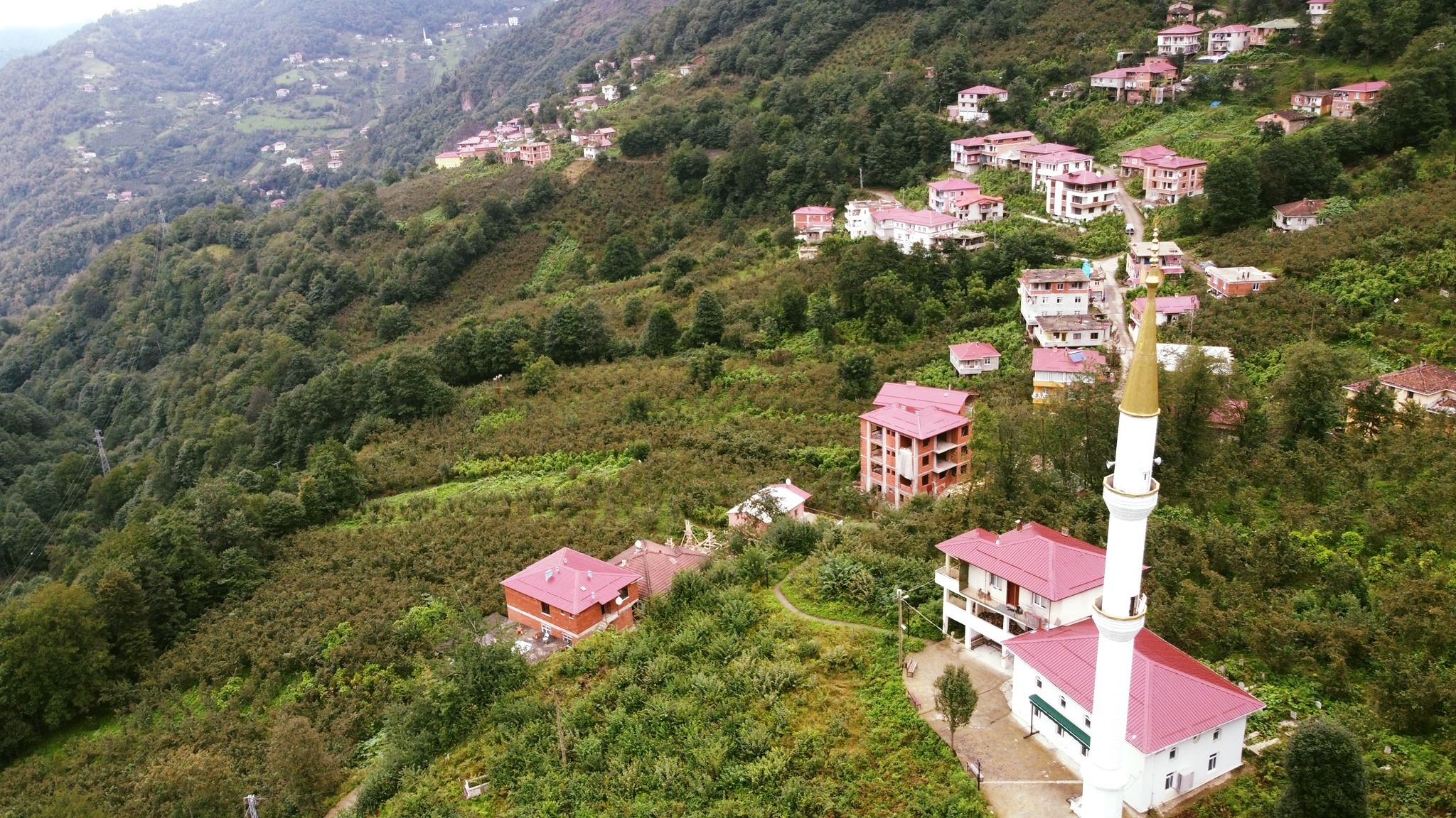 Araklı Çukurçayır Foşa Köyü