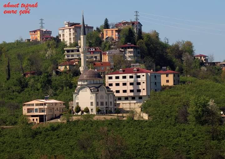 Araklı Taşönü Pirgi Mahallesi